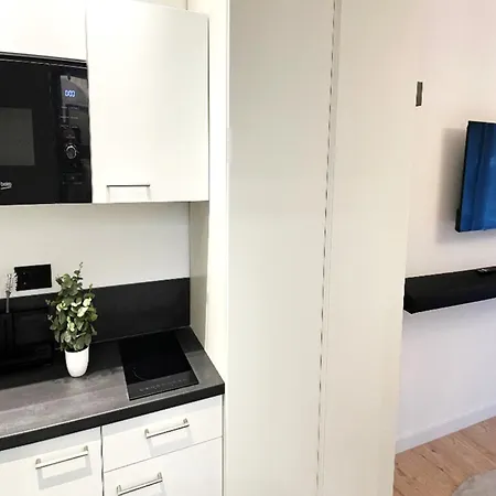308 Salinenparc Design Budget